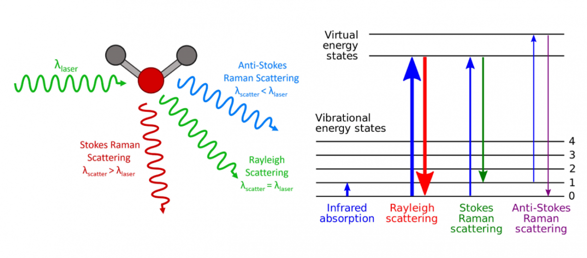 Raman Spectroscopy How Does It Work Materials